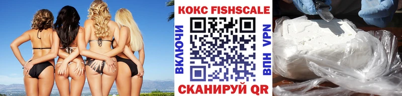 где купить наркотик  Жиздра  КОКАИН Эквадор 