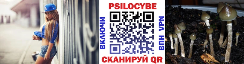MEGA как войти  Жиздра  Псилоцибиновые грибы Cubensis 