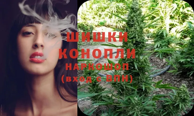 Канабис SATIVA & INDICA  Жиздра 