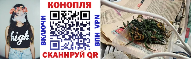 где продают наркотики  Жиздра  Канабис план 